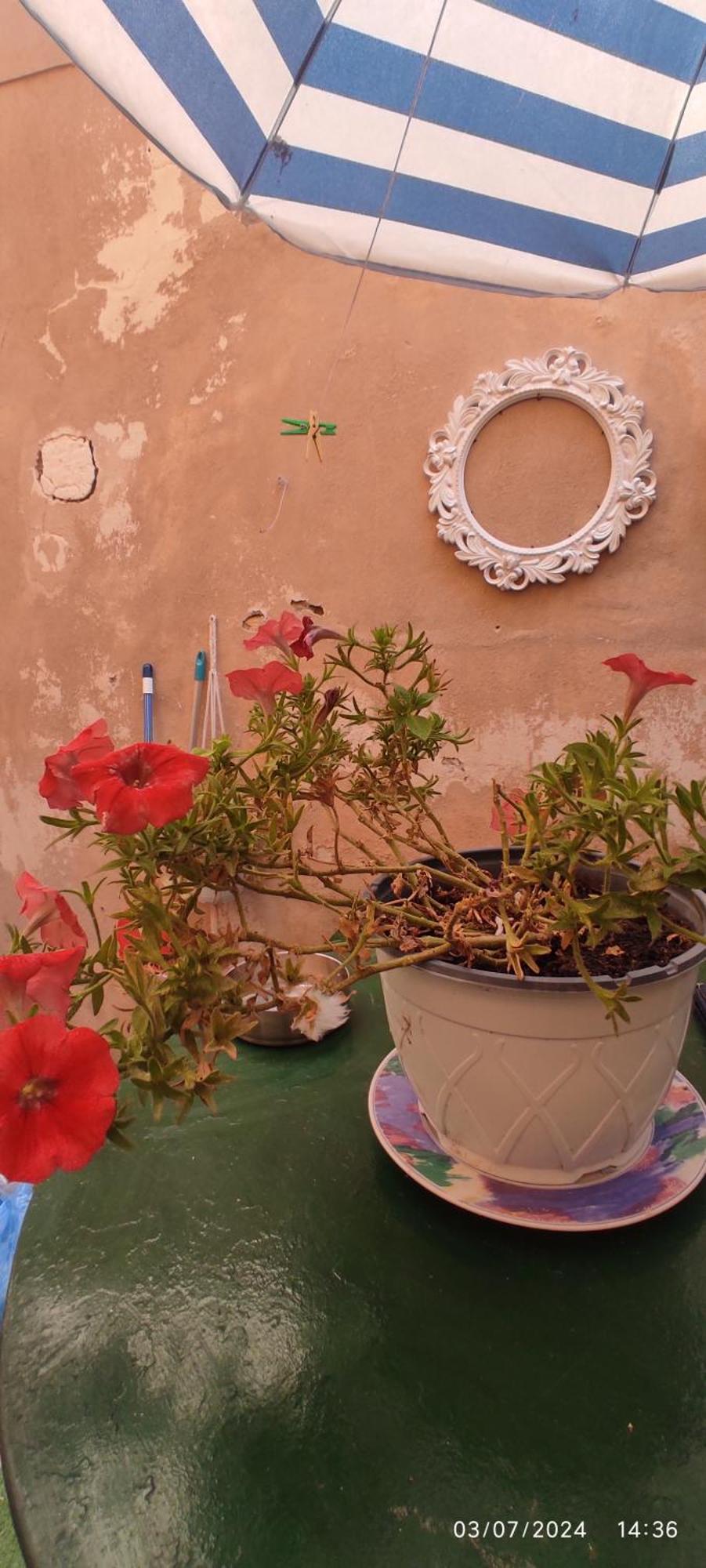 Apartamento Casa Di Mare Corfu  Exterior foto